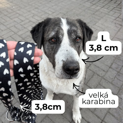 Šířka obojku L
